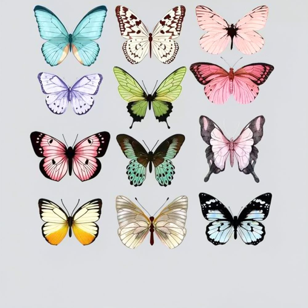 PVC 3D-vlinderwanddecoratie, r - Art And Craft For Nursery recensie en prijs
