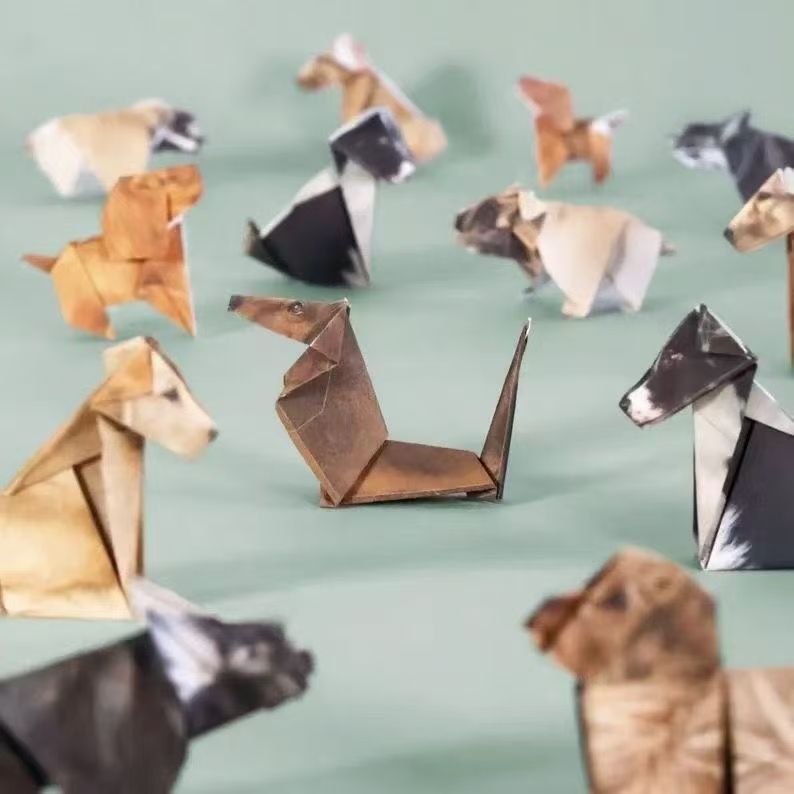 Creatieve katten honden origam - Art Craft With Paper recensie en prijs